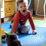 fear of cats in children