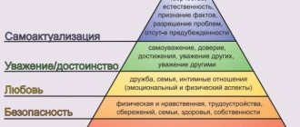Personality structure - pyramid